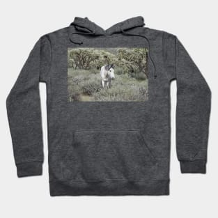 Wild horses, wildlife, gifts, Arizona, Lone Spirit Hoodie